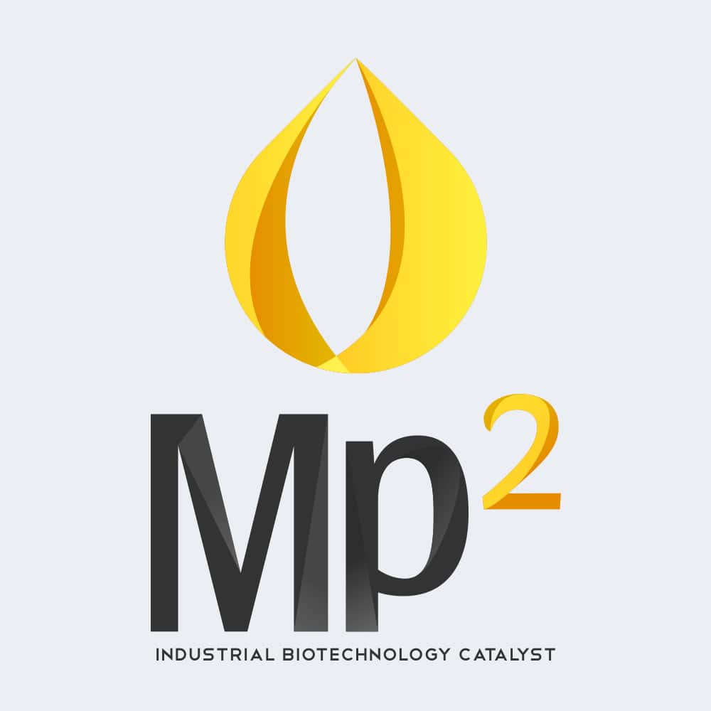 Mp2 Palm oil substitute branding project